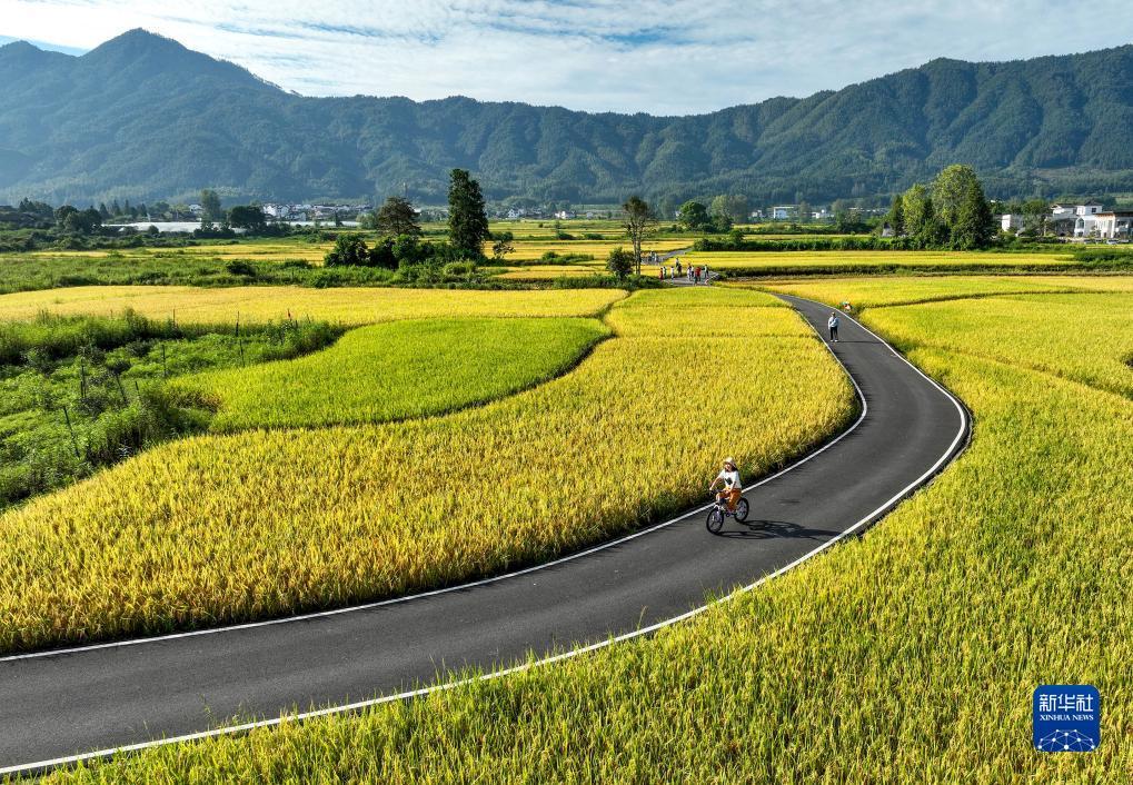 pk电子游戏